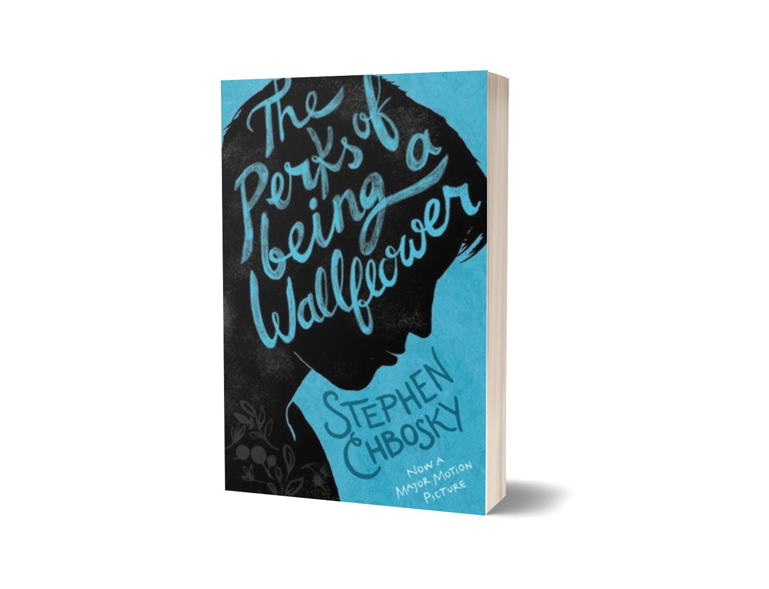 The Perks of Being a Wallflower — Stephen Chbosky