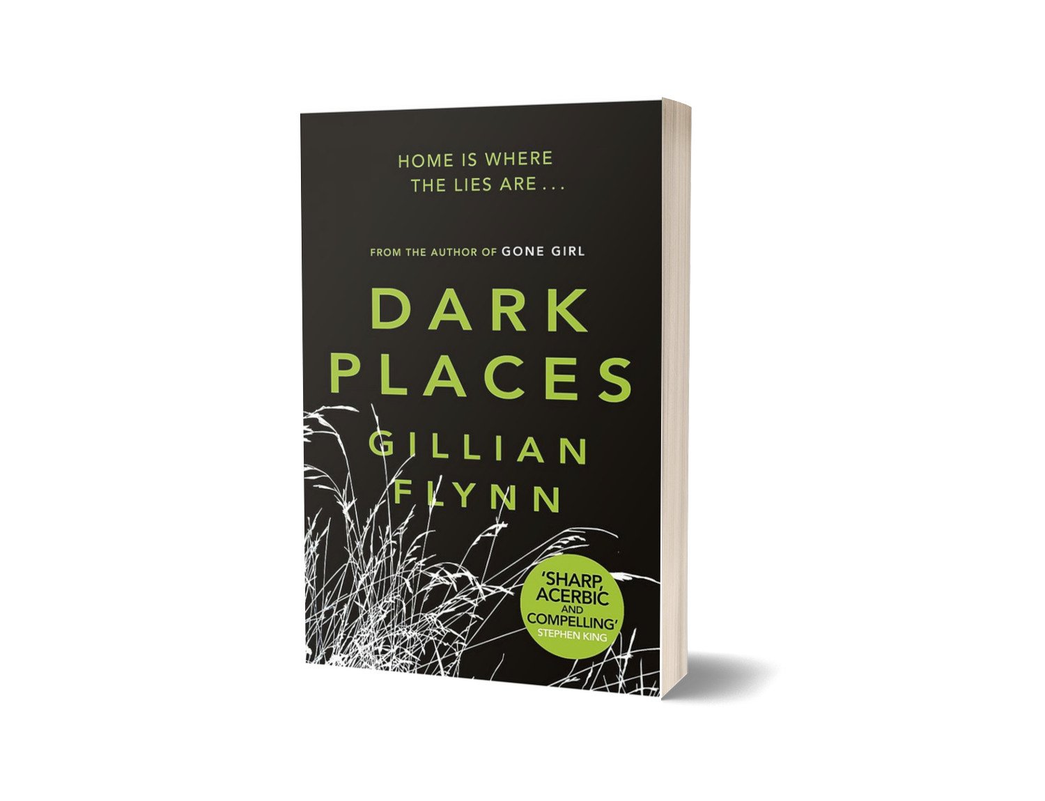 Dark Places Author: Gillian Flynn