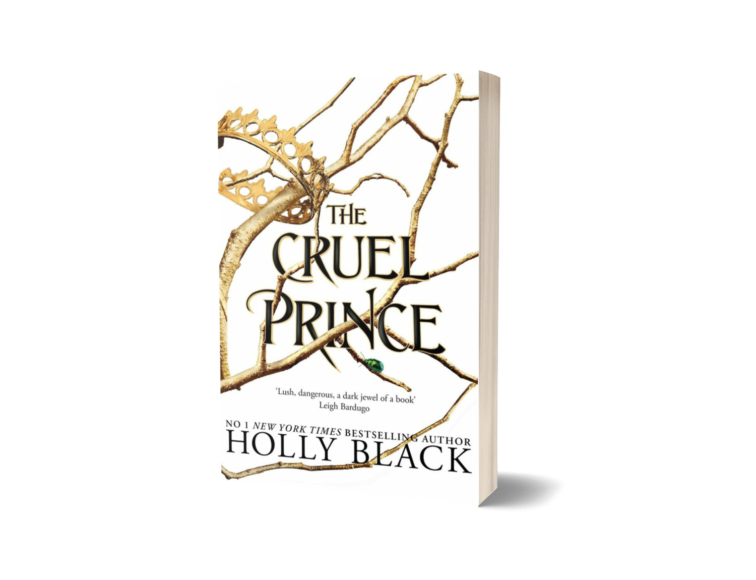 The Cruel Prince — Holly Black